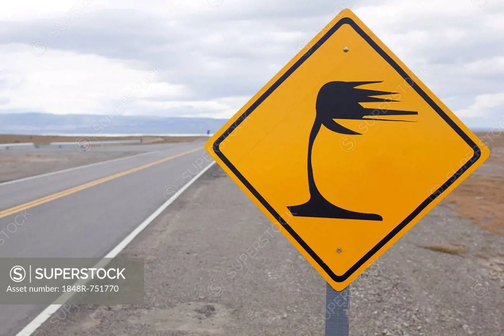 Argentine street sign caution wind, Pan-American Highway, Patagonia, Santa Cruz, Argentina, South America, Latin America, America