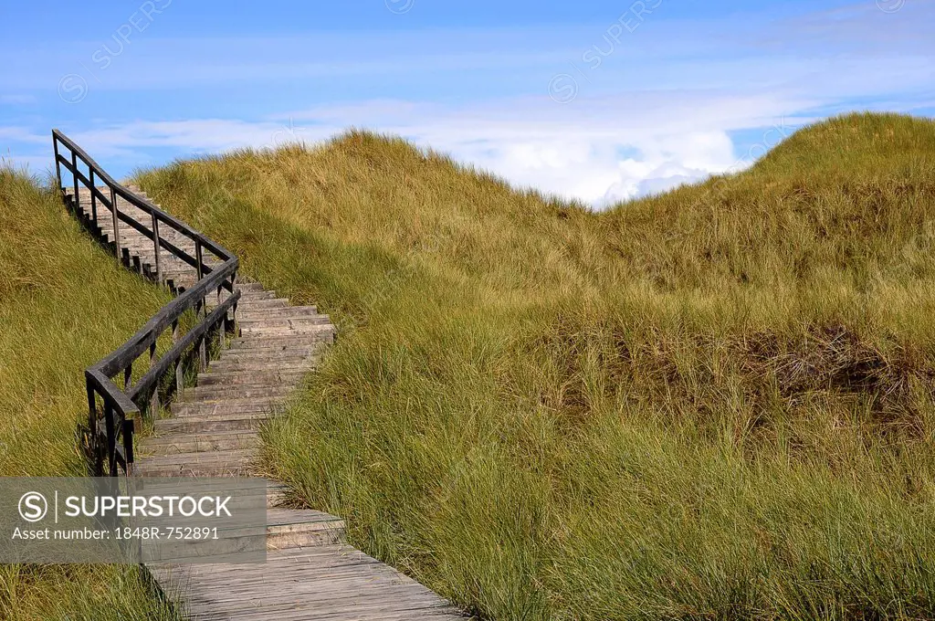 Boardwalk across the dunes, Amrum, North Sea, Schleswig-Holstein, Germany, Europe
