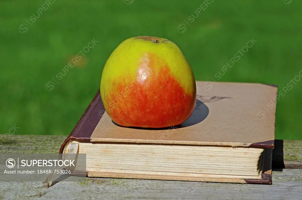 Apple on an old book