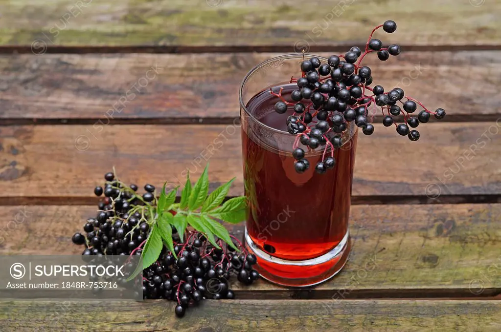 Elderberry juice, elderberries (Sambucus nigra)