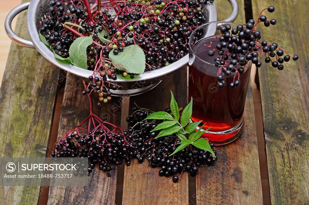 Elderberry juice, elderberries (Sambucus nigra)