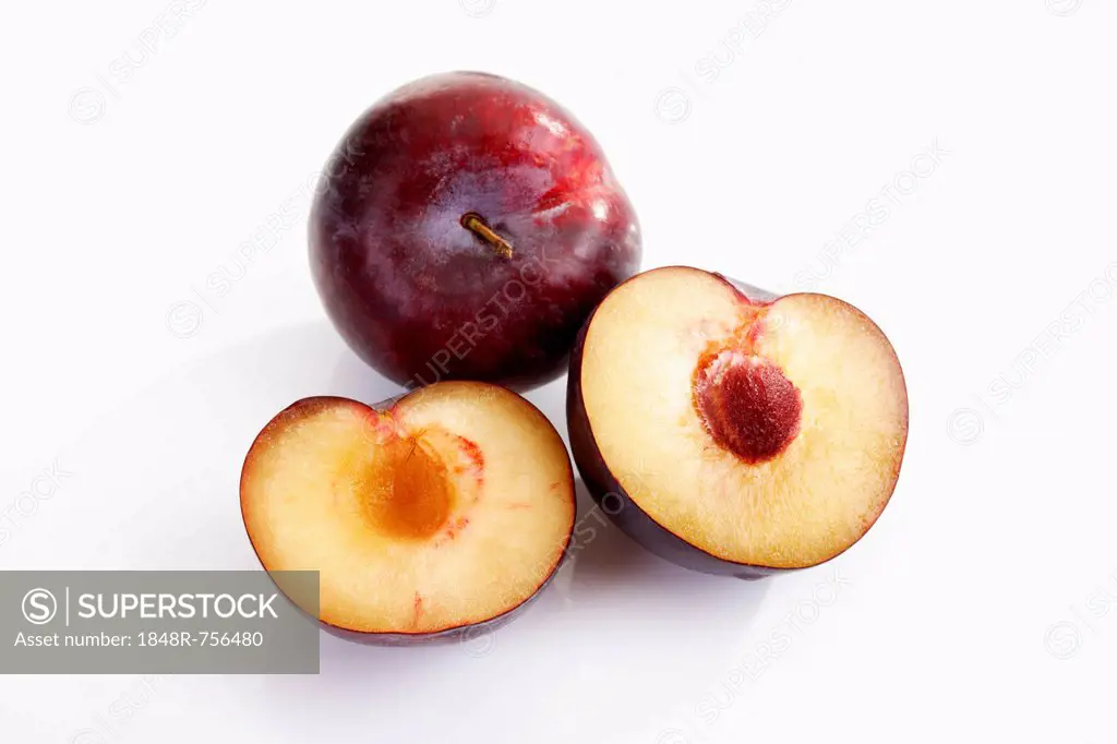 Chinese plums (Prunus salicina)