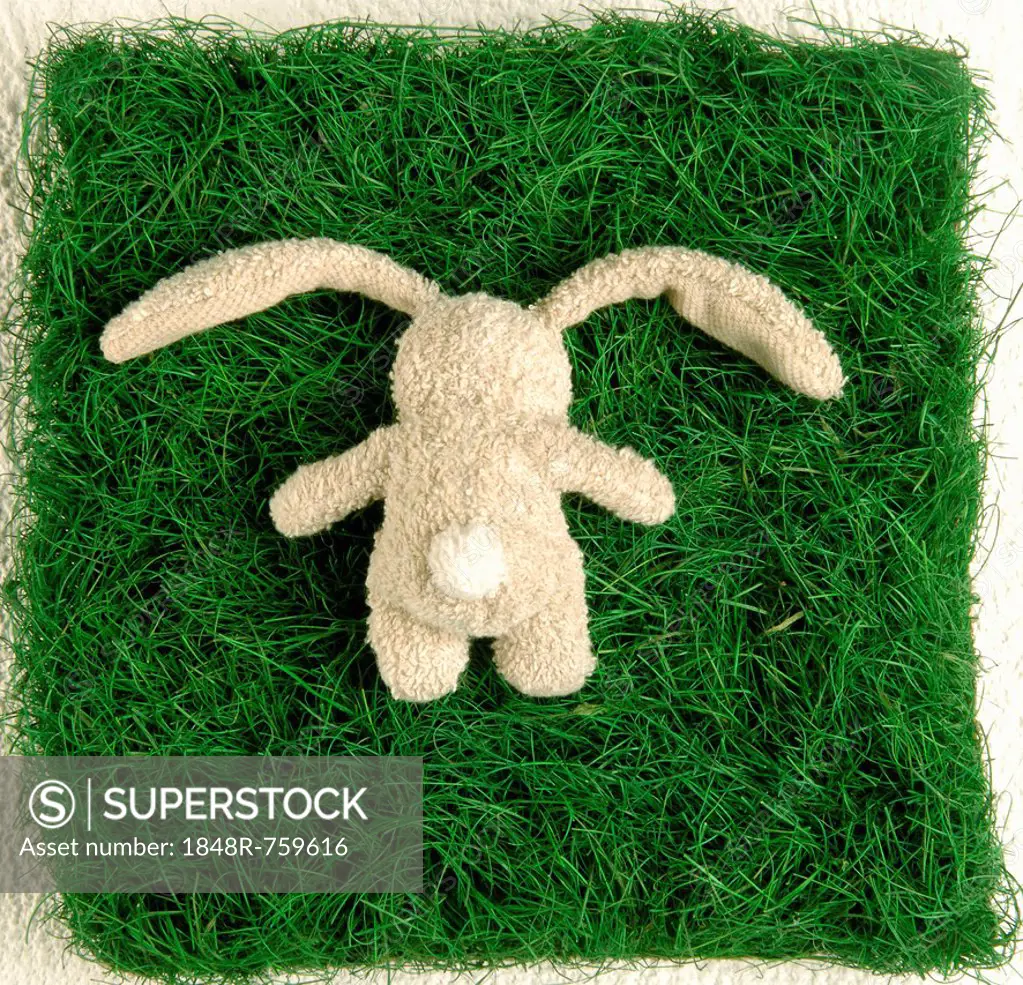 Soft toy, bunny, lying face down on a piece of grass