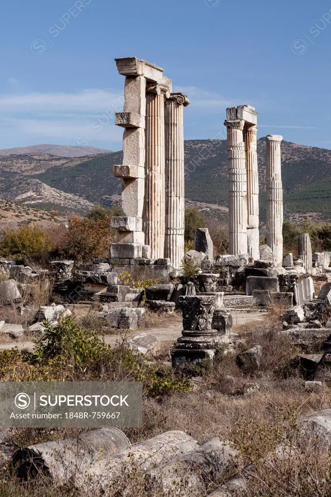 Ruins of the ancient city of Aphrodisias, current city of Geyre, Turkey