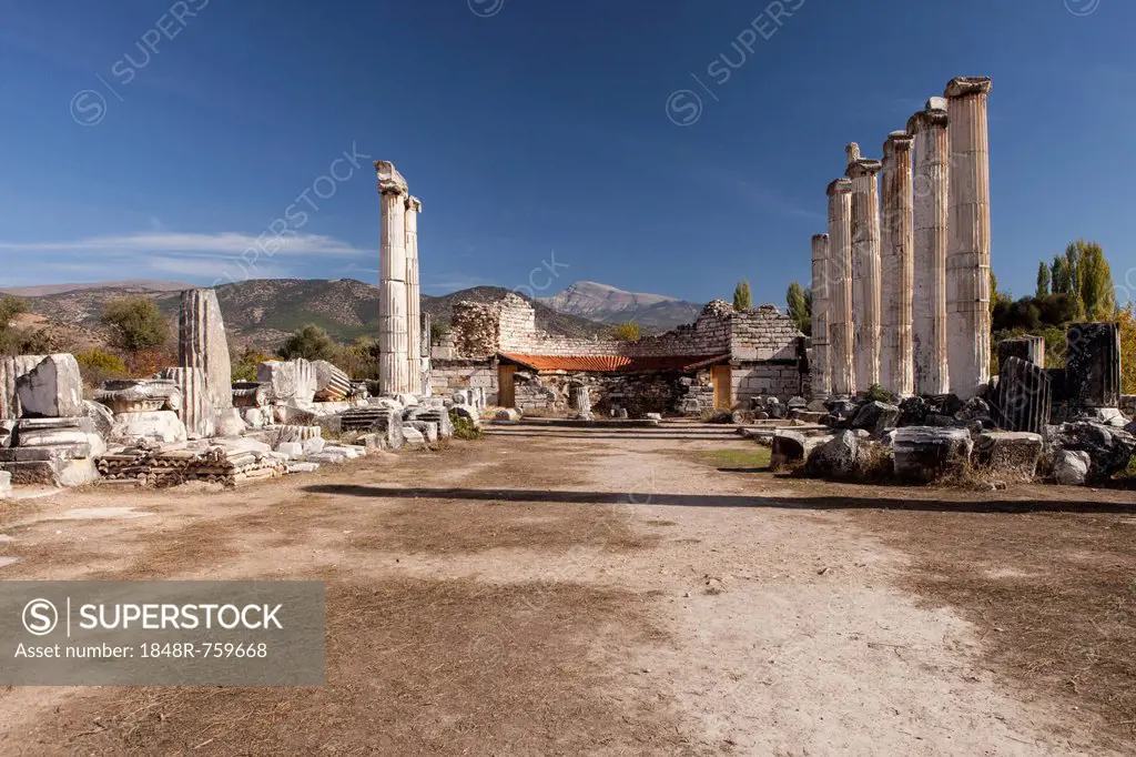 Ancient city of Aphrodisias, current city of Geyre, Turkey