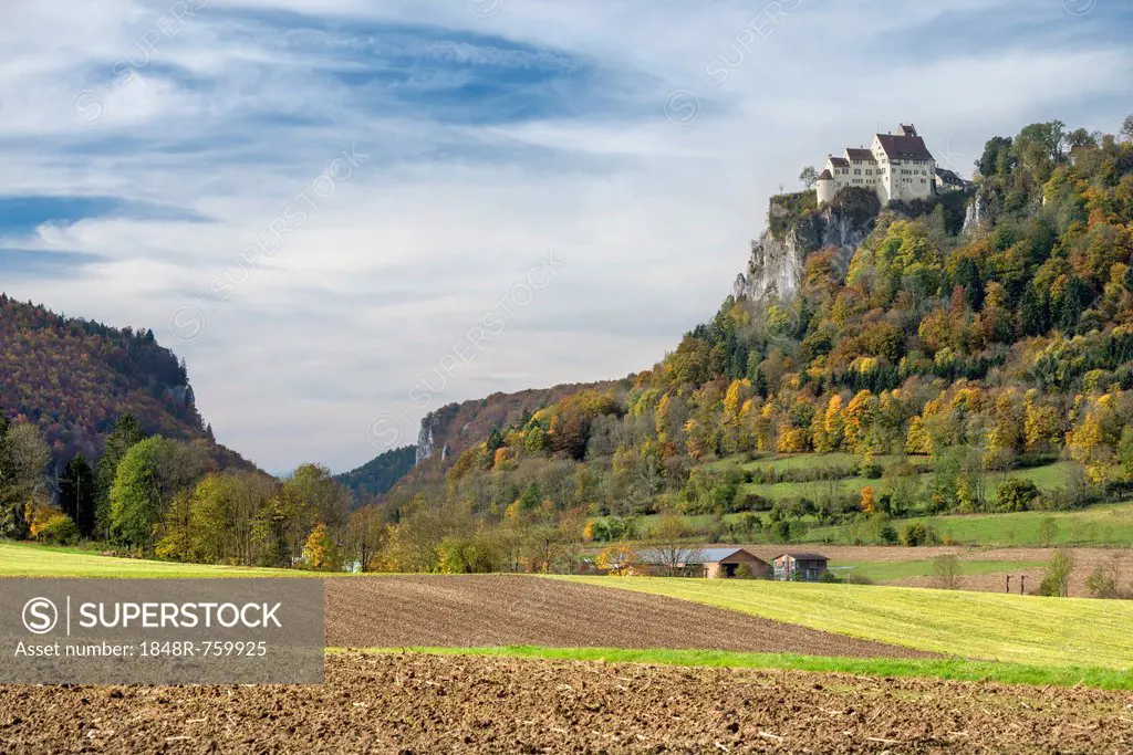 Agricultural land in the Upper Danube Valley, Schloss Werenwag Castle, right, high up on a cliff, Baden-Wuerttemberg, Germany, Europe
