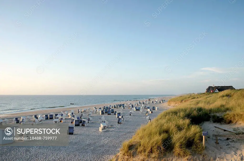 Late afternoon on the beach of Kampen, Sylt, Kampen, Sylt, North Frisia, Schleswig-Holstein, Germany