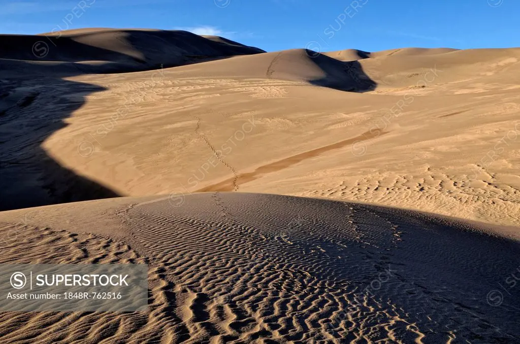Dunes landscape with footprints, Great Sand Dunes National Park, Mosca, Colorado, USA