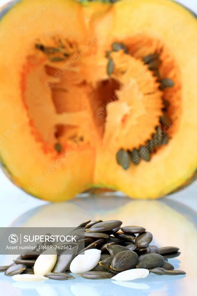 Seeds and pulp from the Styrian Oil Pumpkin
