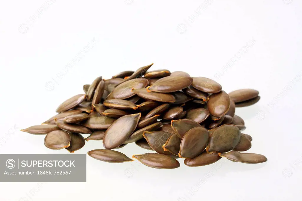Pumpkin seeds from the Styrian Oil Pumpkin