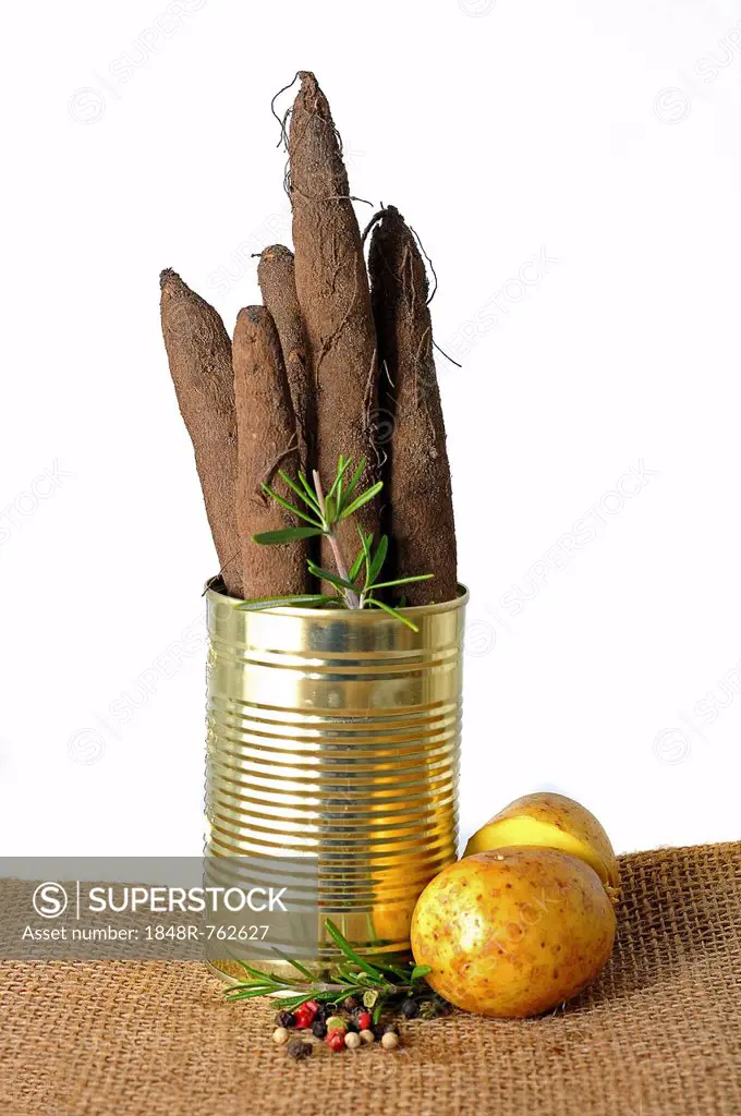 Salsify roots in a tin