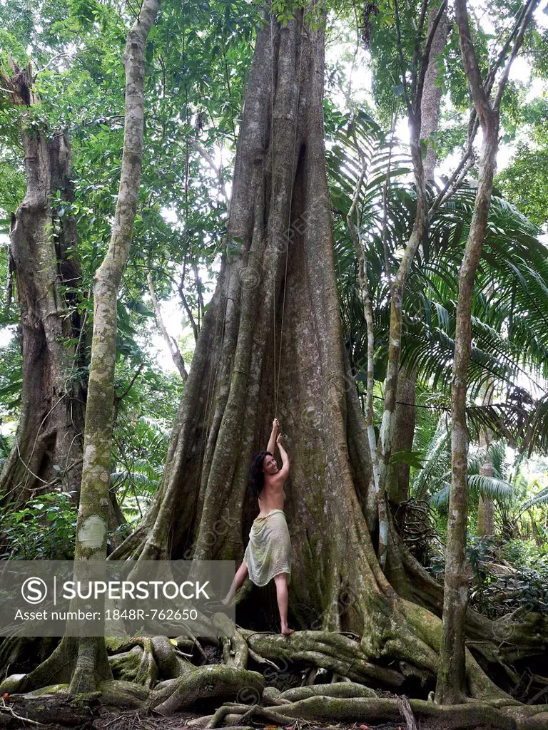 Woman, 45, pulling on a liana of a Kapok (Ceiba pentandra), rainforest, Punta Uva, Puerto Viejo de Talamanca, Costa Rica, Central America