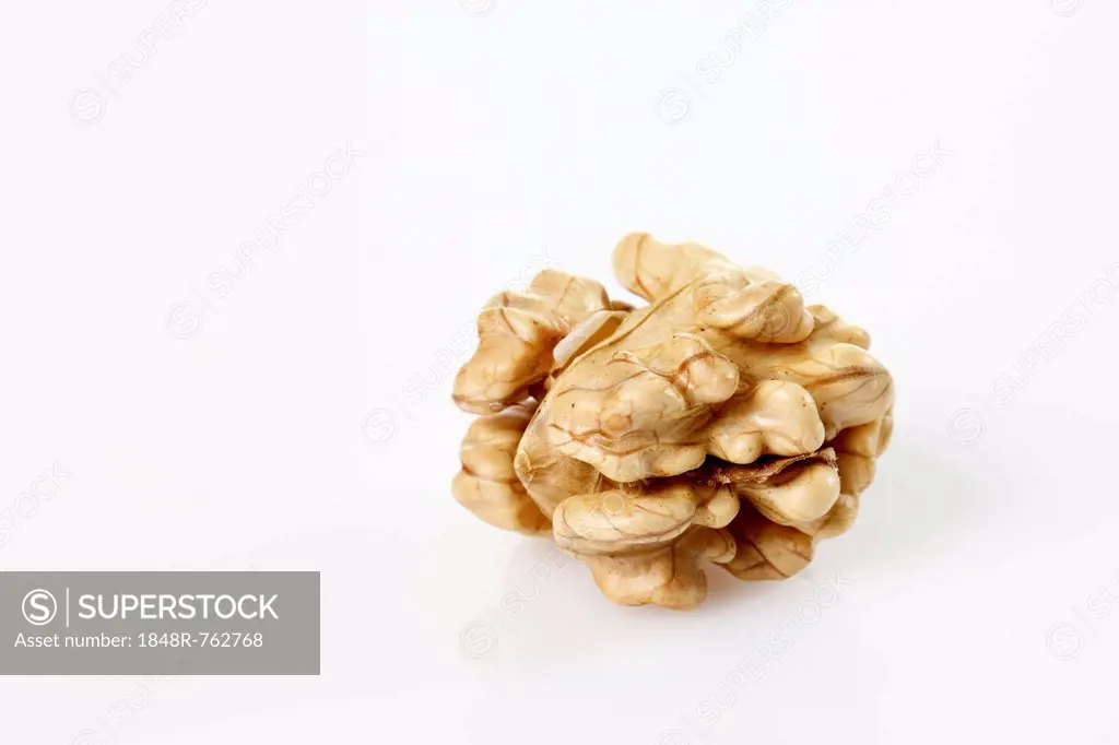 Walnut (Juglans regia), kernel without the shell
