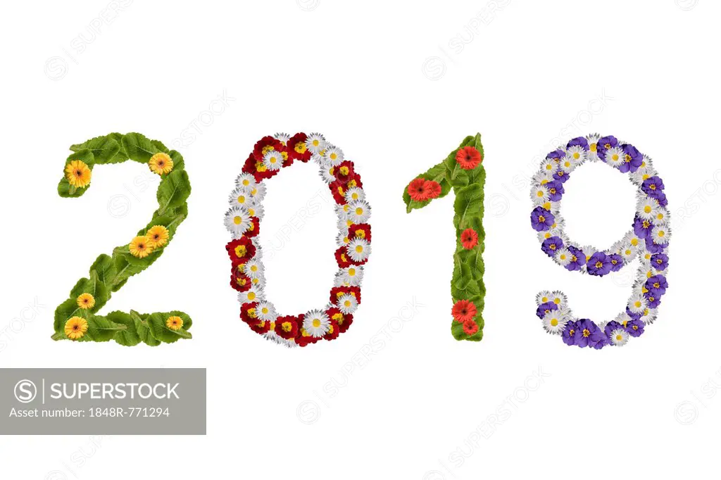 Flowers arranged to show the year 2019