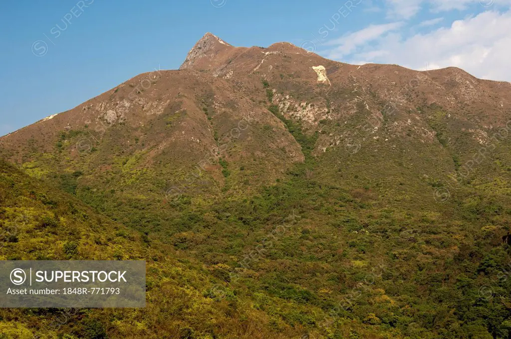 Scrubland with Sharp Peak mountain range, Sai Kung Country Park, Hong Kong, Hong Kong, China, People's Republic of China