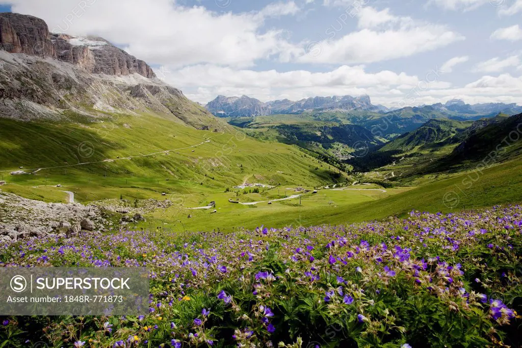 Sella Group seen from Pordoi Pass, Dolomites, Pordoijoch, South Tyrol province, Trentino-Alto Adige, Italy