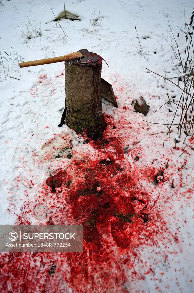 Home slaughtering on a farm, chopping block and axe in the snow, duck slaughtering site, Eckenhaid, Eckental, Middle Franconia, Bavaria, Germany