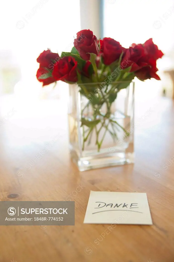 Red roses in vase with the note danke, German for thank you, Mannheim, Baden-Württemberg, Germany