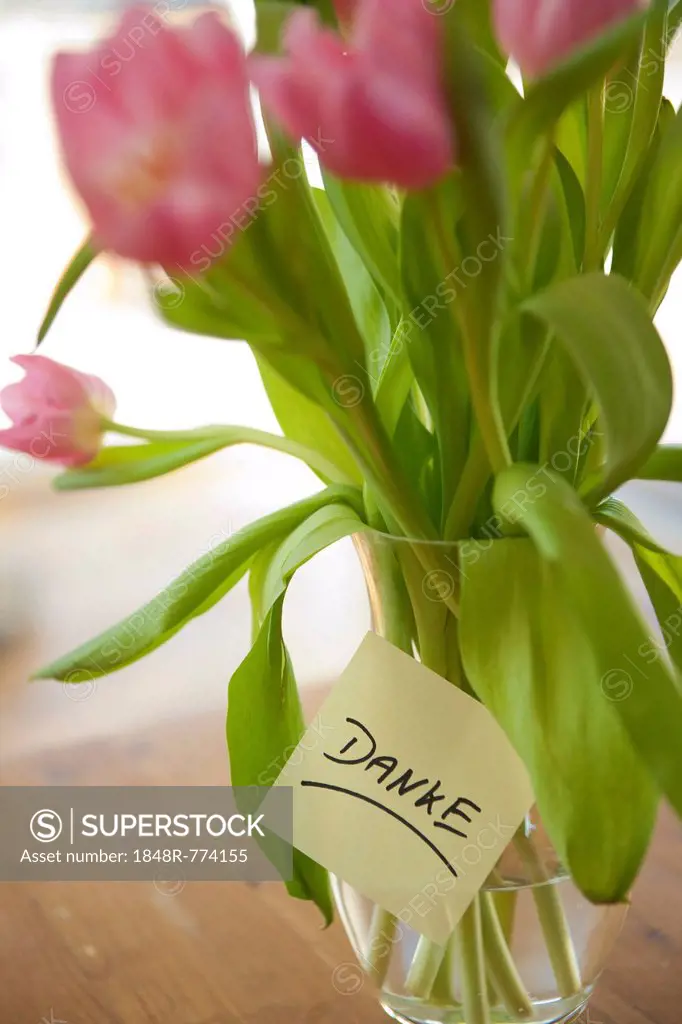 Tulips in vase with the note danke, German for thank you, Mannheim, Baden-Württemberg, Germany