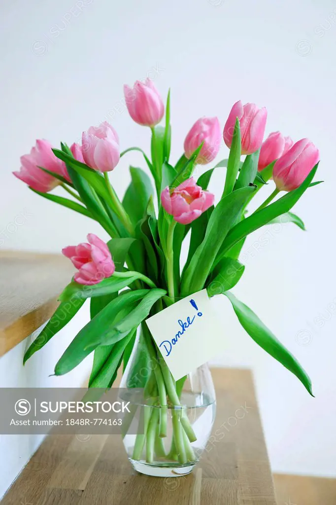Tulips in a vase with the note danke, German for thank you, Mannheim, Baden-Württemberg, Germany