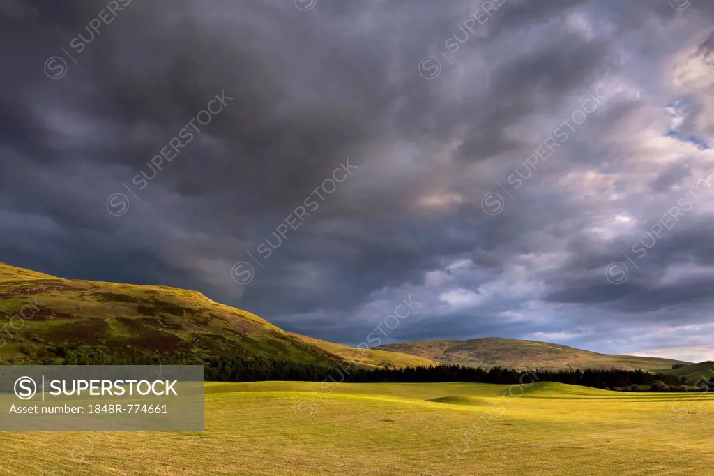 Hilly landscape, pasture, Yarrowford-Tal, Scottish Borders, Scotland, United Kingdom