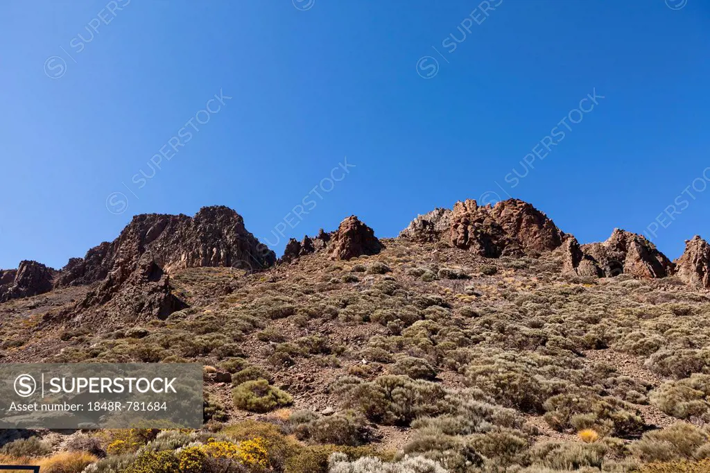 Lava rocks in the Teide National Park, UNESCO World Heritage Site, Las Fuentes, Tenerife, Canary Islands, Spain