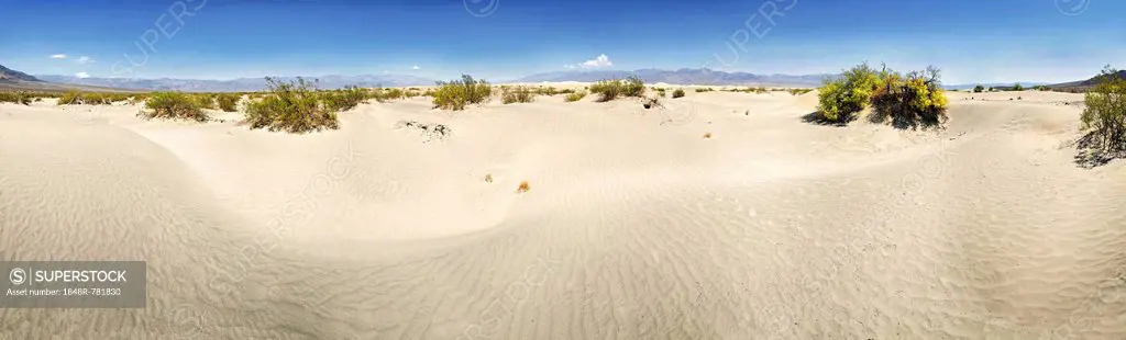 Dunes, Mesquite Sand Dunes, Death Valley, California, United States