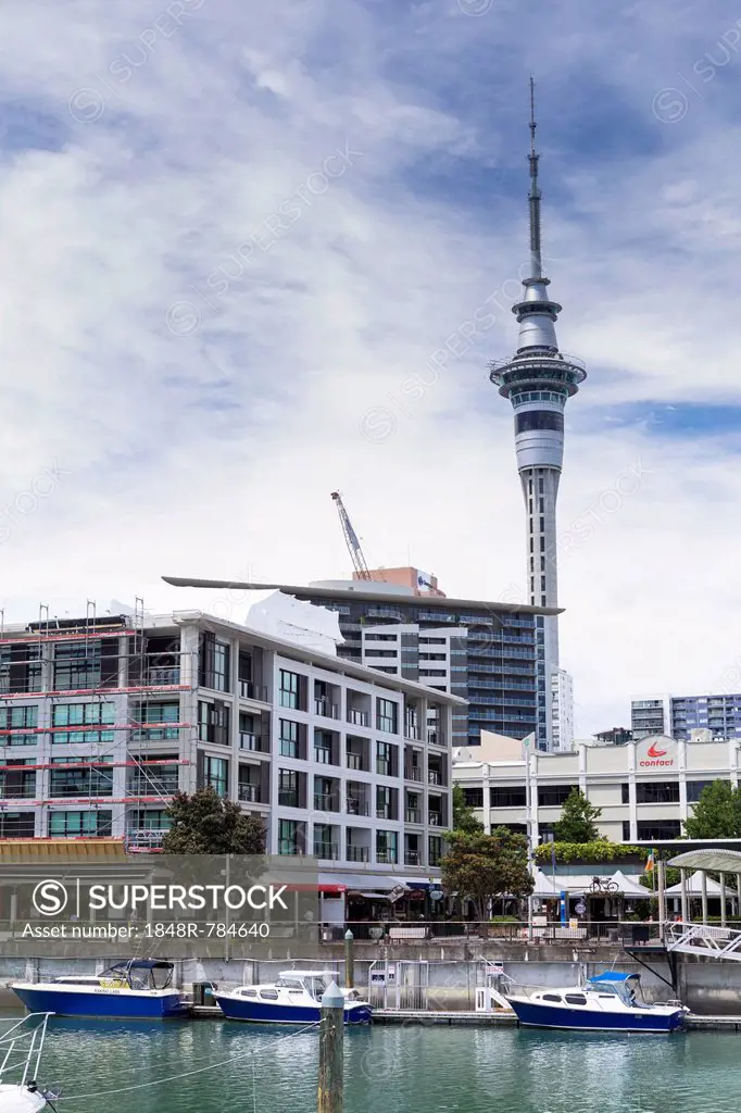 Harbour, skyline and Skytower, Auckland, Auckland Region, New Zealand