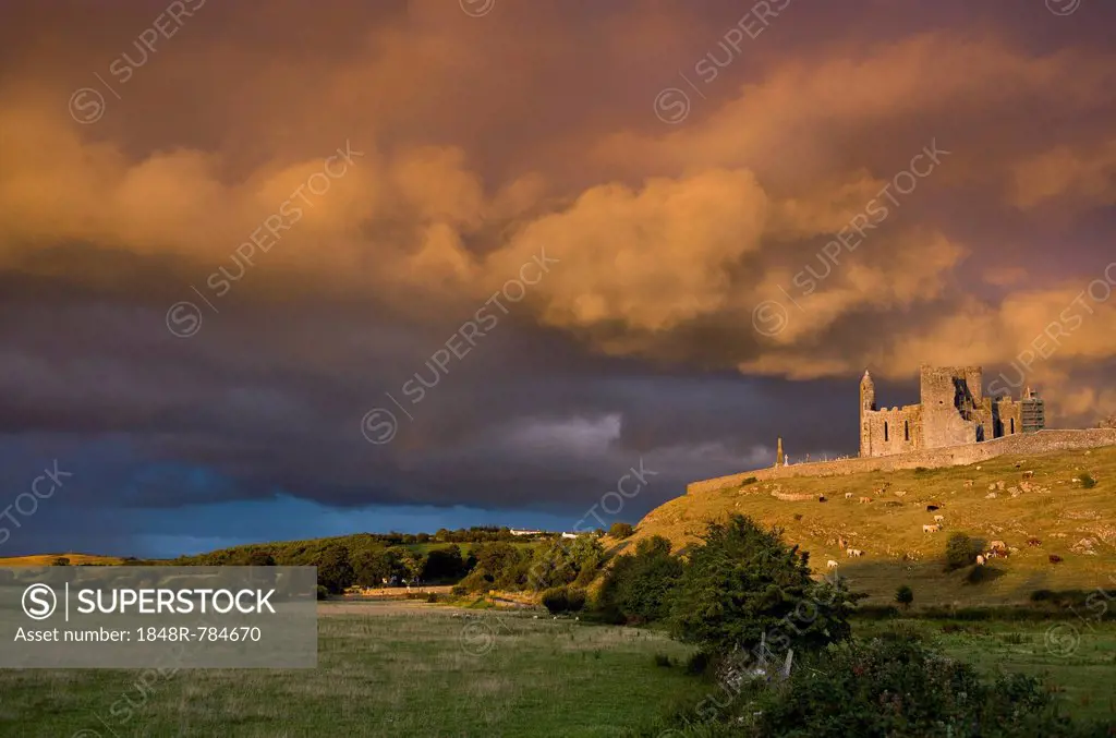 Rock of Cashel, in the evening light, Cashel, County Tipperary, Ireland
