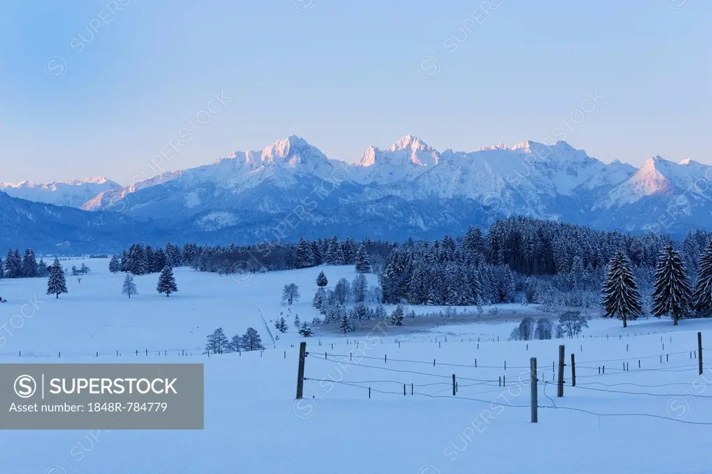 Tannheim Mountains at sunrise in winter, near Halblech, Swabia, Bavaria, Germany
