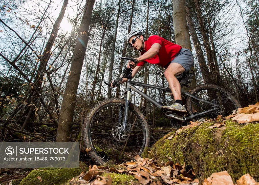 Cyclist on a mountainbike riding through a forest, Schurwald forest, Winterbach, Baden-Württemberg, Germany