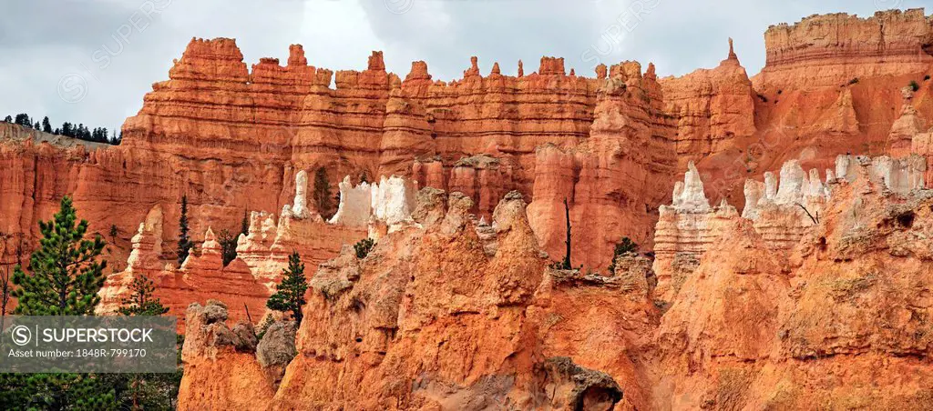 Queens Garden, a landscape formed by erosion with sandstone pillars or hoodoos, Bryce Canyon National Park, Utah, United States
