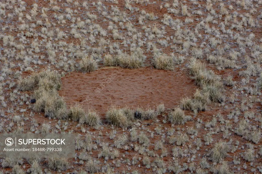 Fairy circle, vegetation-free circular barren patch of land, desert, Namib, Hardap Region, Namibia