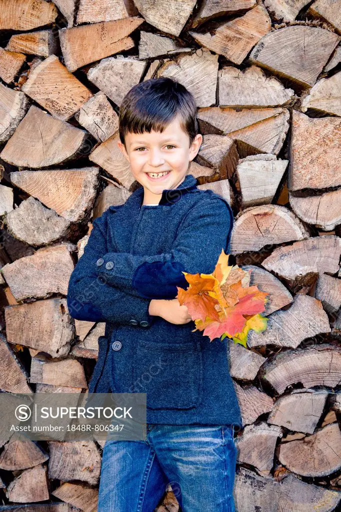Boy holding autumn leaves, standing in front of stacked firewood