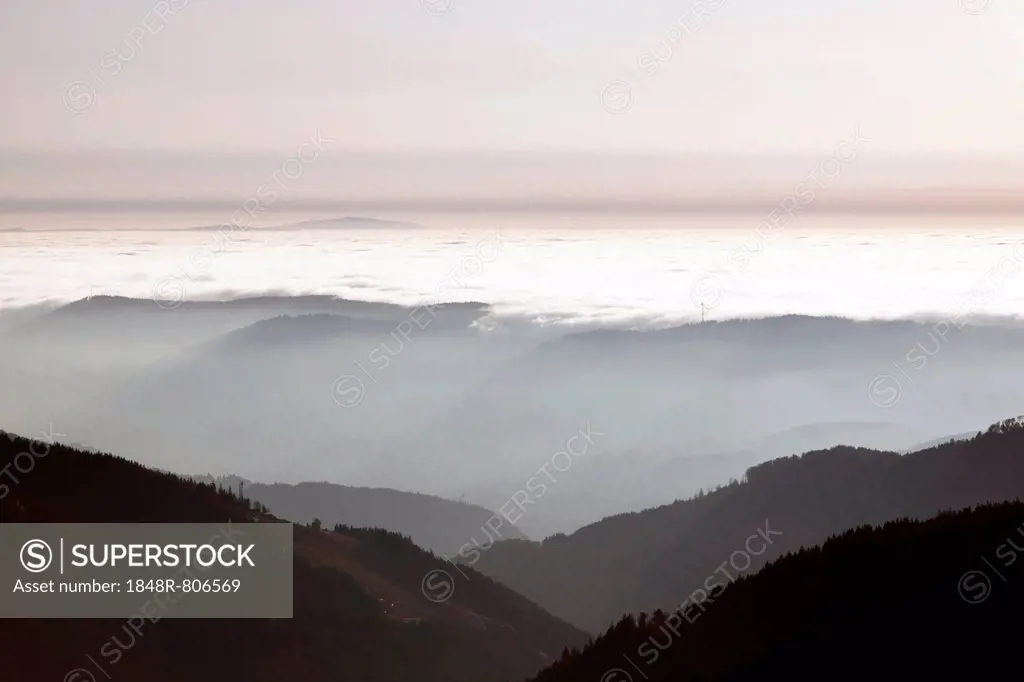 View from Feldberg Mountain over the Rhine Valley with atmospheric inversion, Black Forest, Baden-Wuerttemberg, Germany, Europe