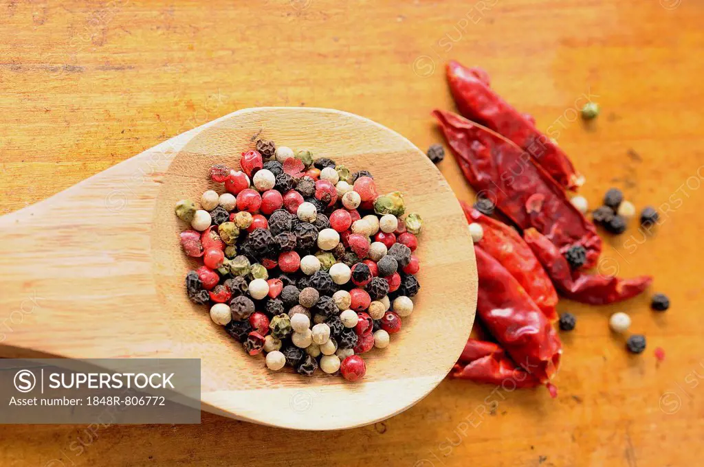 Mixed peppercorns on a wooden spoon