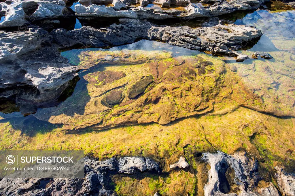 Flooded rock on the Moray Firth at Tarbat Ness, Scotland, United Kingdom, Europe