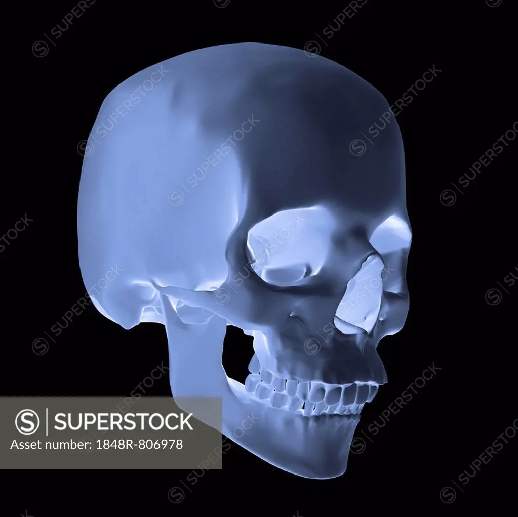 Human skull, glow effect, 3D illustration