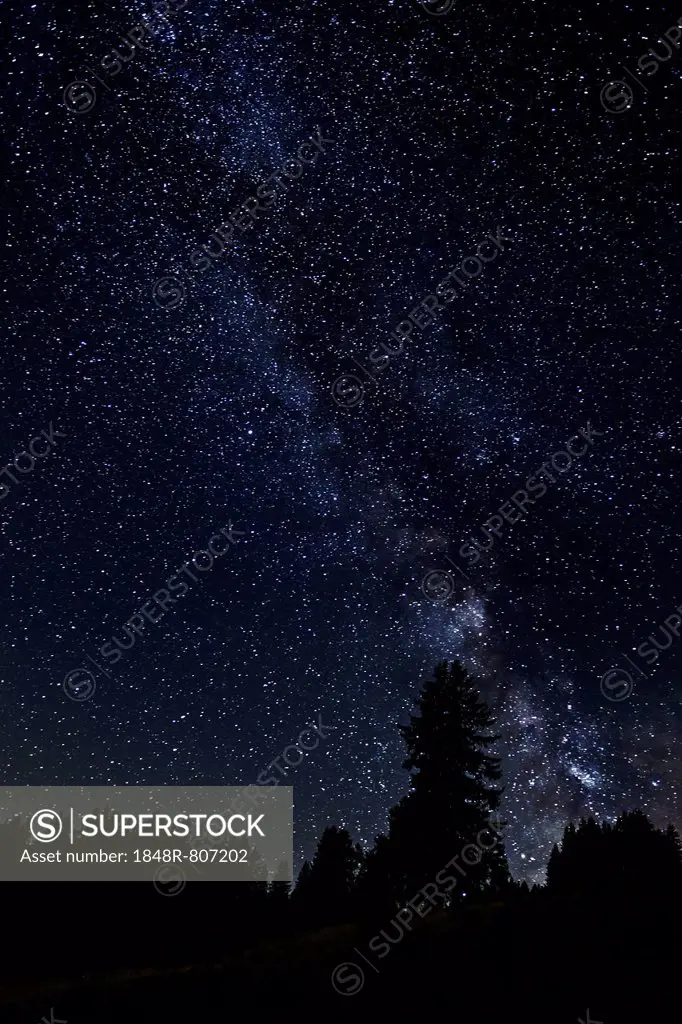 Starry sky with the Milky Way over a forest, Flums, Canton of St. Gallen, Switzerland