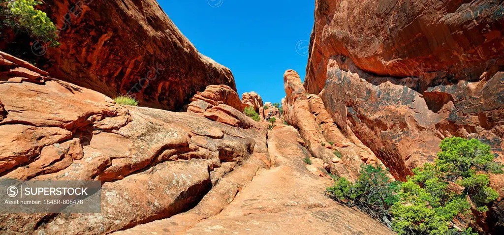 Devil's Garden, formed by the erosion of red Navajo sandstone, Arches-Nationalpark, near Moab, Utah, United States
