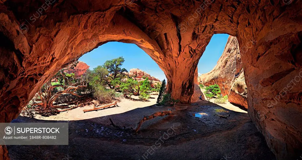 Red stone arches of the Navajo Arch formed by erosion, Arches-Nationalpark, near Moab, Utah, United States