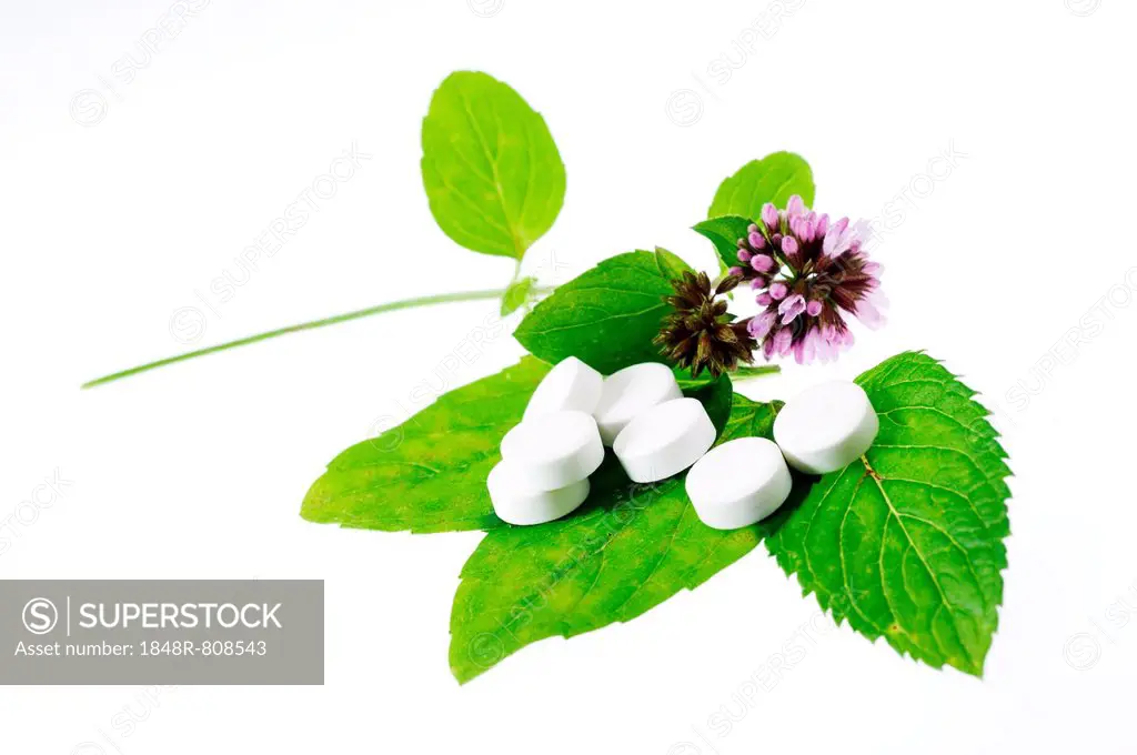 Vegetable cures, Phytopharmaka. White tablets lie beside sheets of mint