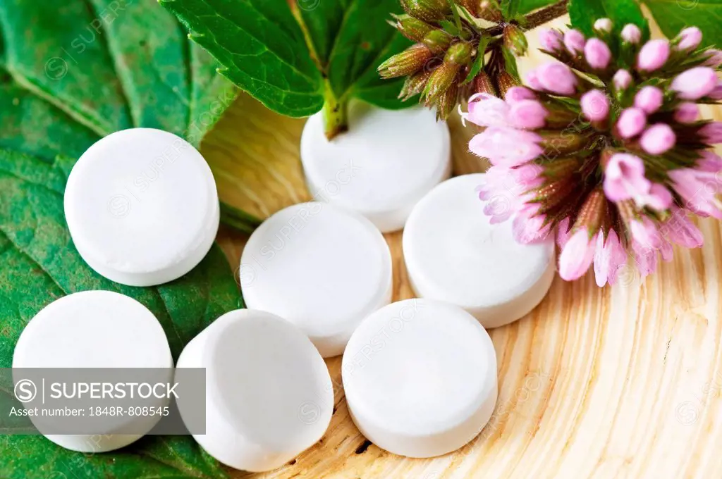 Vegetable cures, Phytopharmaka. White tablets lie beside sheets of mint