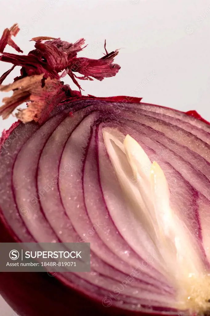 Red onion cut in half