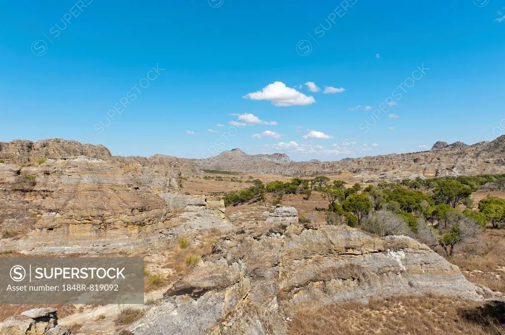 Dry and wide erosional landscape with rocks and trees, Isalo National Park, at Ranohira, Madagascar