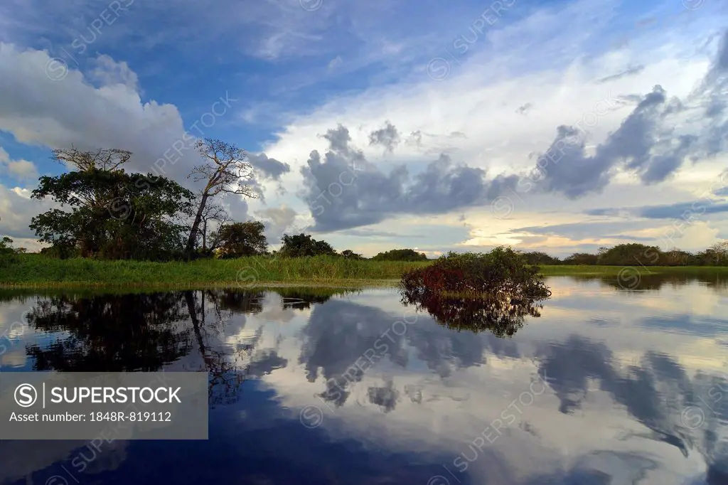 Dusk at a lake-like widened part of the Amazon or Rio Solimões, Mamirauá Sustainable Development Reserve, Manaus, Amazonas, Brazil