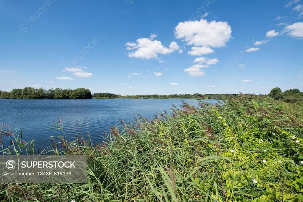Pond landscape, Meißendorf Lakes Nature Reserve, Meißendorf, Lower Saxony, Germany
