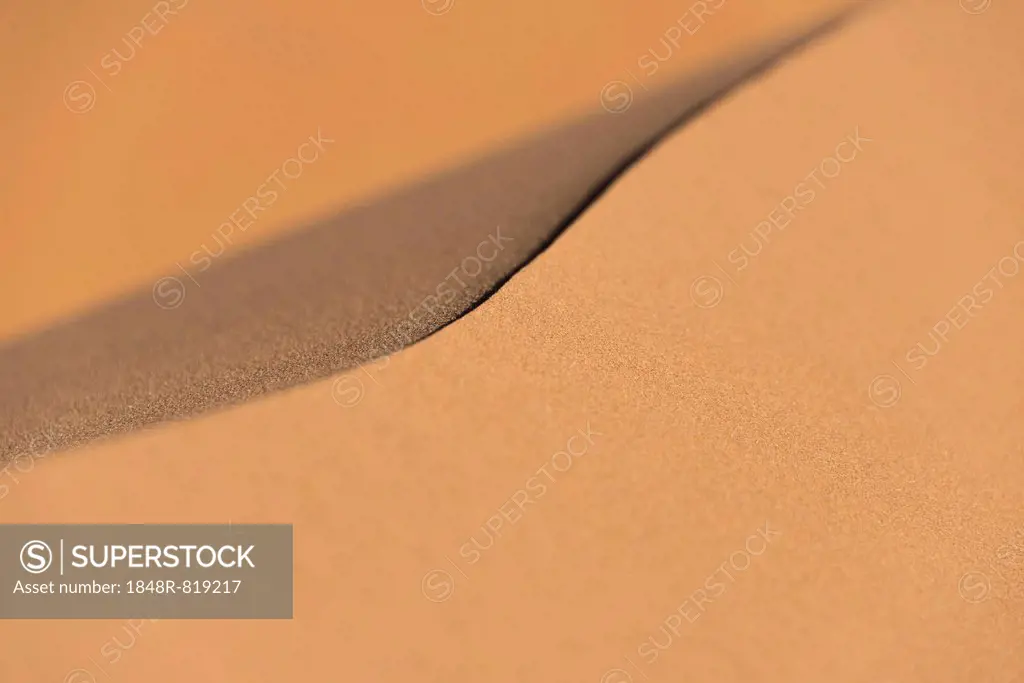 Ridge of a dune, Sossusvlei, Namib Naukluft Park, Namibia