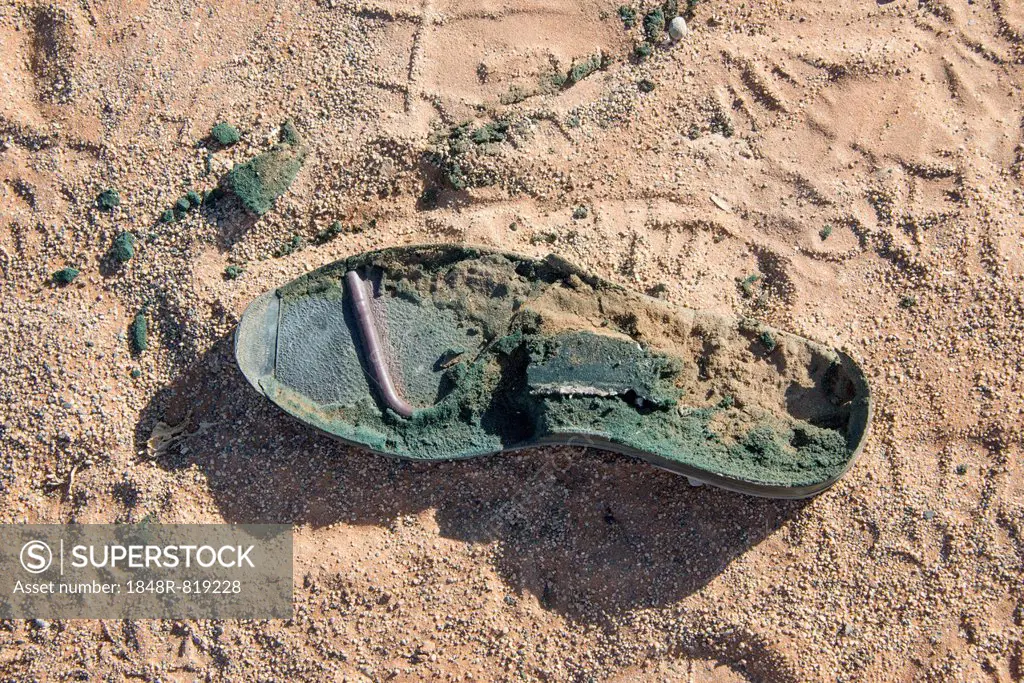 Sole of an old shoe lying in the sand, Sossusvlei, Namib Naukluft Park, Namibia