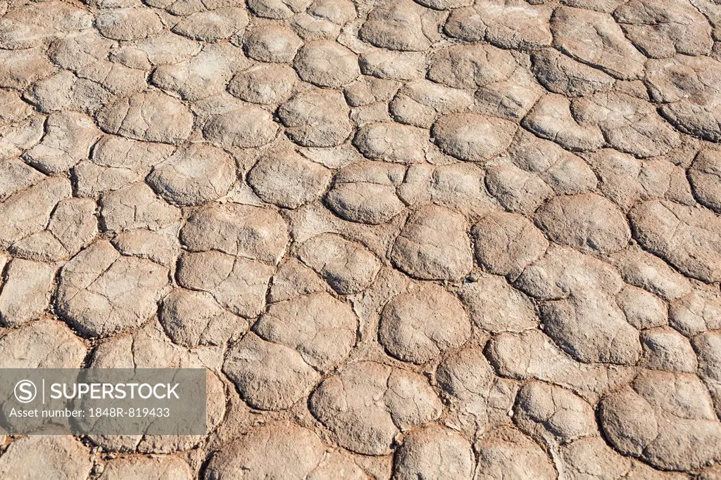 Dried sandy ground, Dead Pan, Sossusvlei, Namib Desert, Namibia